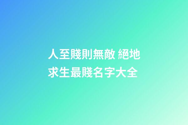 人至賤則無敵 絕地求生最賤名字大全